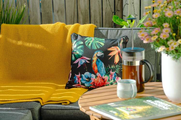 39 Ohiro Road Aro Valley_23