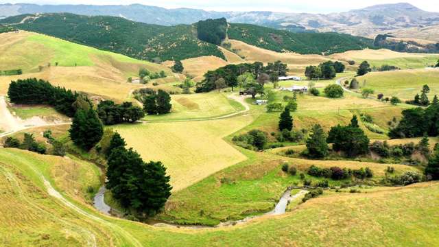 966 Oporae Road Waione_3