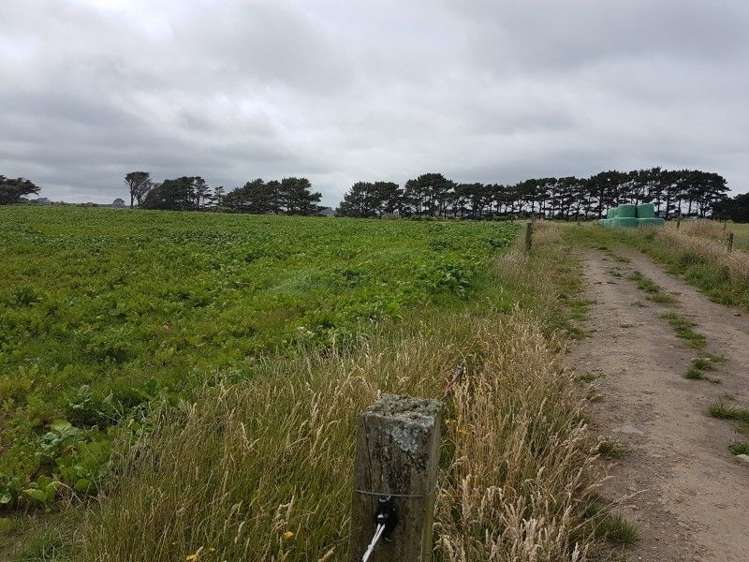 349 Ihaia Road Opunake_14