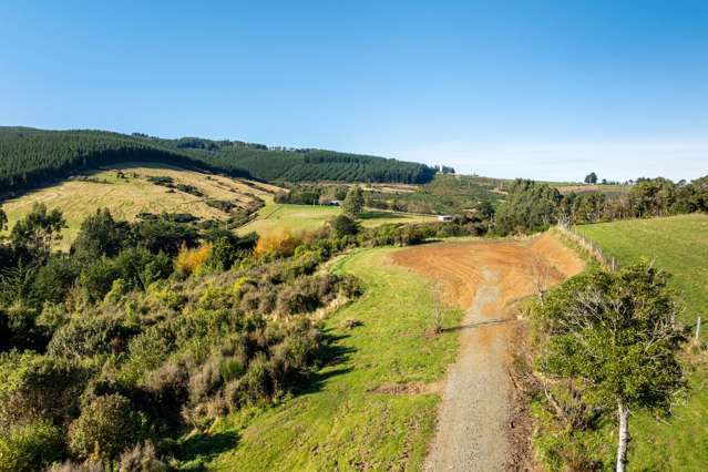 315 Leith Valley Road Leith Valley_4