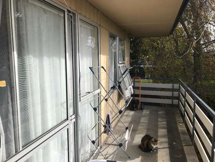 2/14 Claudelands Road Claudelands_8