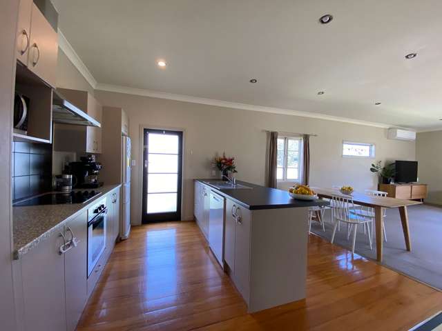 24 Nixon Street Hamilton East_1