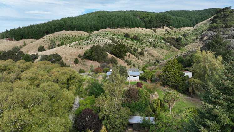 816 Mangamahoe Central Road Eketahuna_18