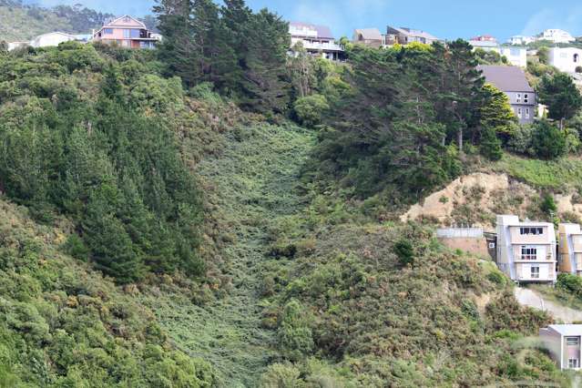 318 Ohiro Road Brooklyn_3