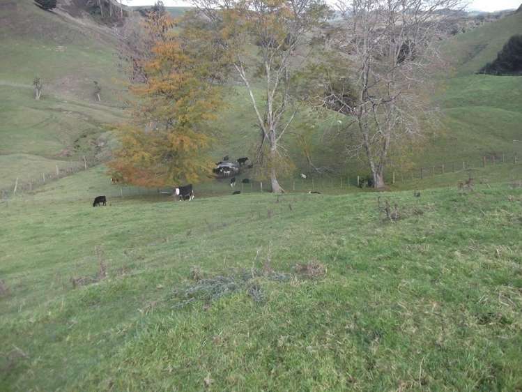 354 Hikumutu Road Taumarunui_24