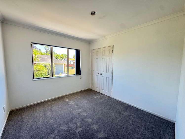 115A Lynwood Road New Lynn_8