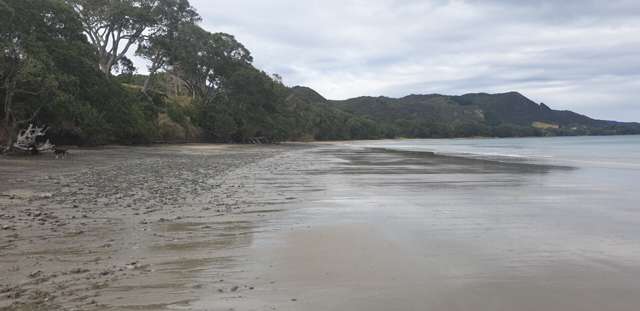 6460b State Highway 35 Te Kaha_2