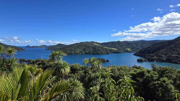 205 Kaiaraara Bay Road Great Barrier Island (Tryphena)_16