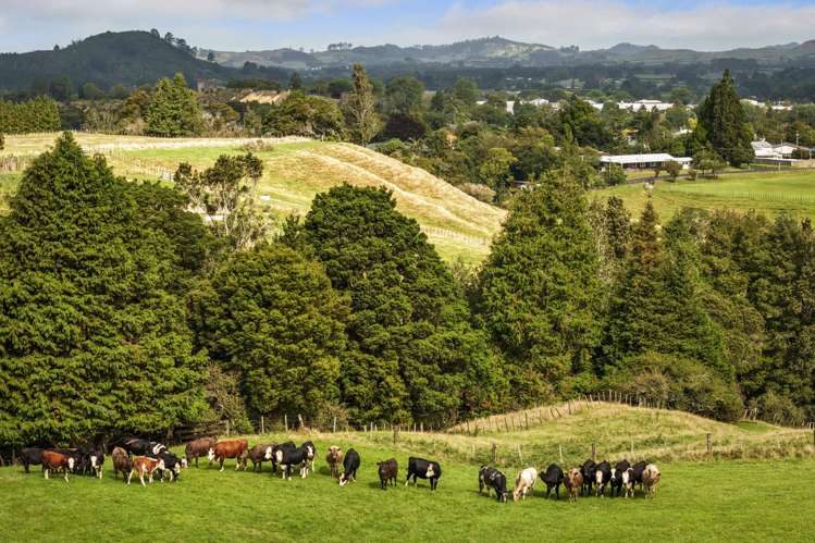 54 Thorn Road Waihi_30