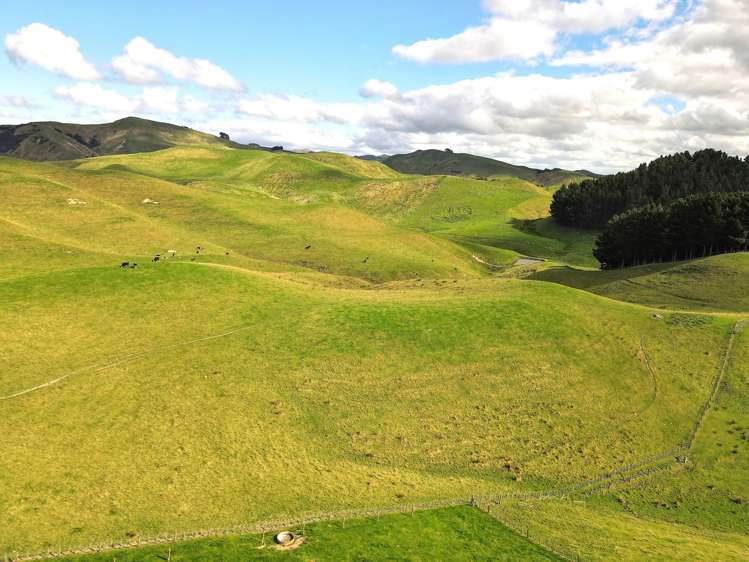 672 Weber Road Dannevirke_17