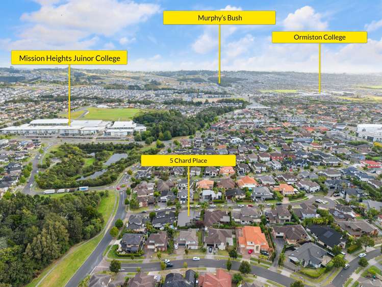 5 Chard Place Flat Bush_34