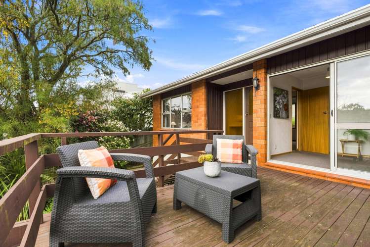 3 Henry Street Maori Hill_18