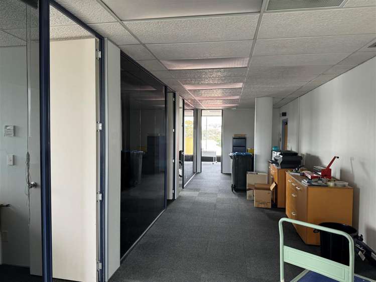 Level 3, Suite A, 2 Kalmia Street_0
