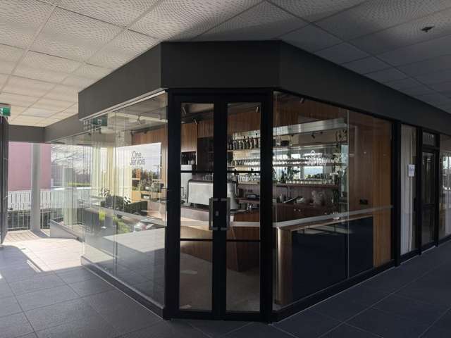 1 Jervois Road Ponsonby_4