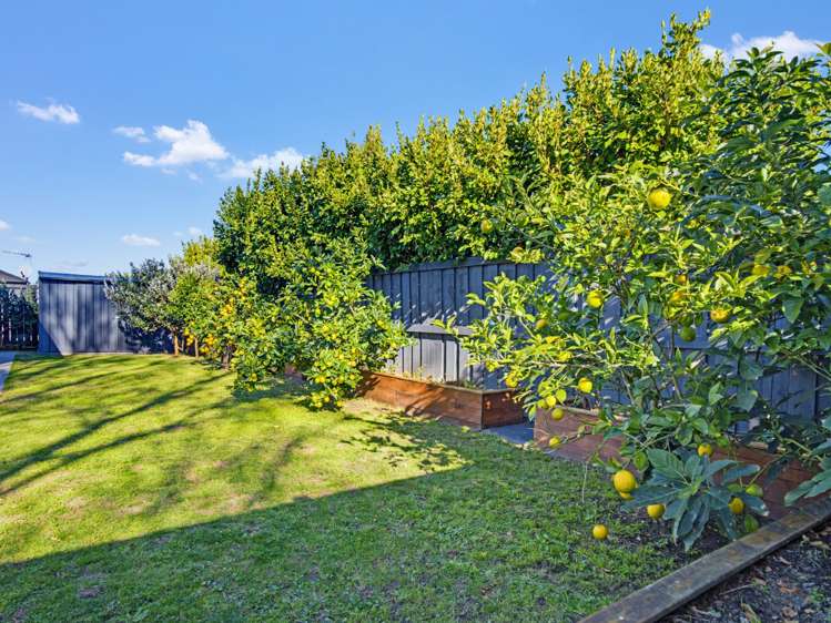 29 Rehua Drive Ngaruawahia_30