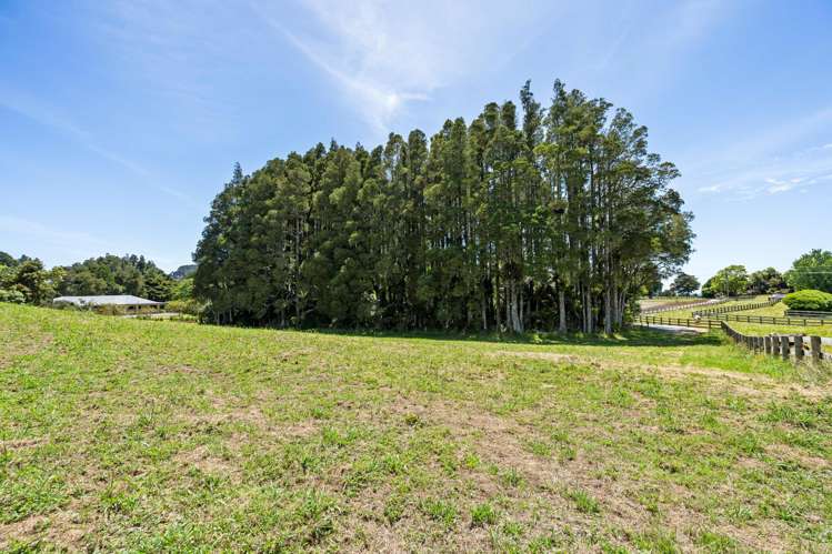 Lots 2 & 3/56 Smithville Road Te Kamo_18