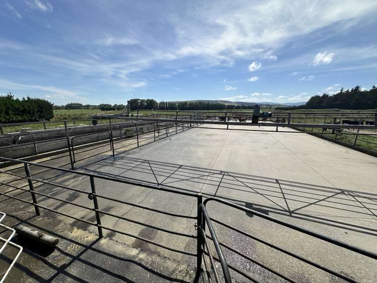 150 Hedgehope Block Road Hedgehope_6