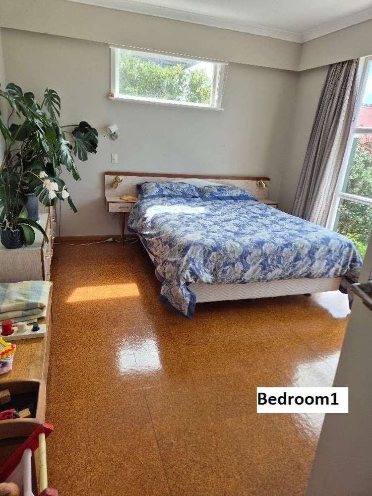 Address withheld Lyall Bay_6