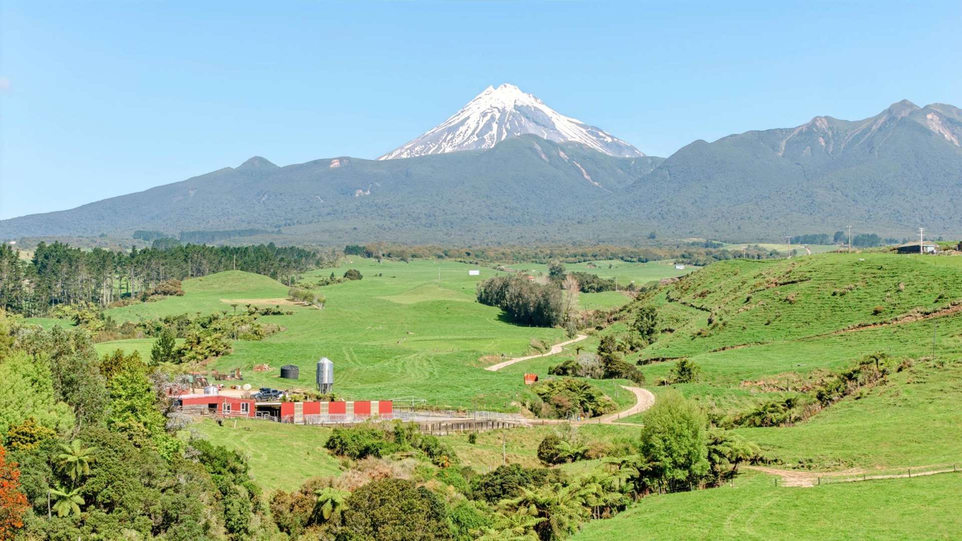 109 Kirihau Road Koru_0