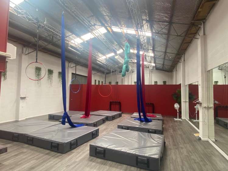 25 Carlyle Street Napier South_6