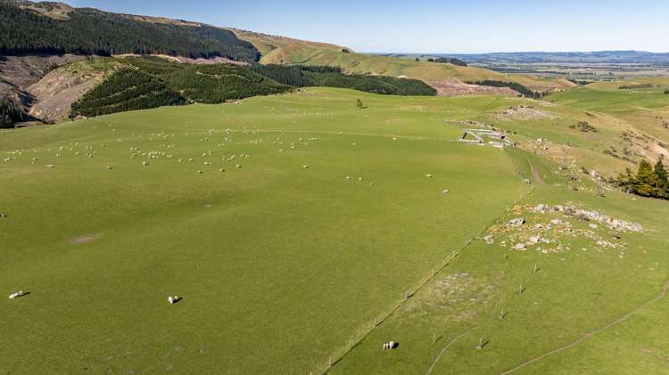 614 Omihi Road Omihi_4