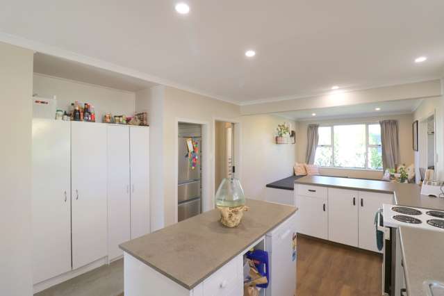 156 Harvey Street Grasmere_3