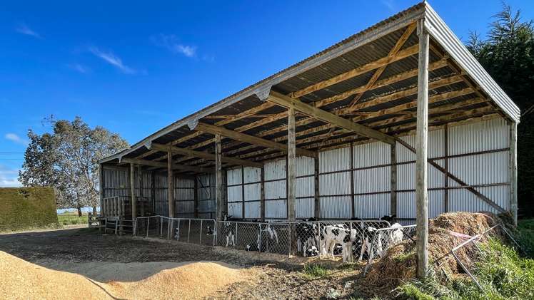 426 Argyle Otahuti Road Waianiwa_7