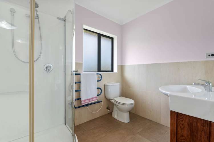 71 Potter Road Dairy Flat_18