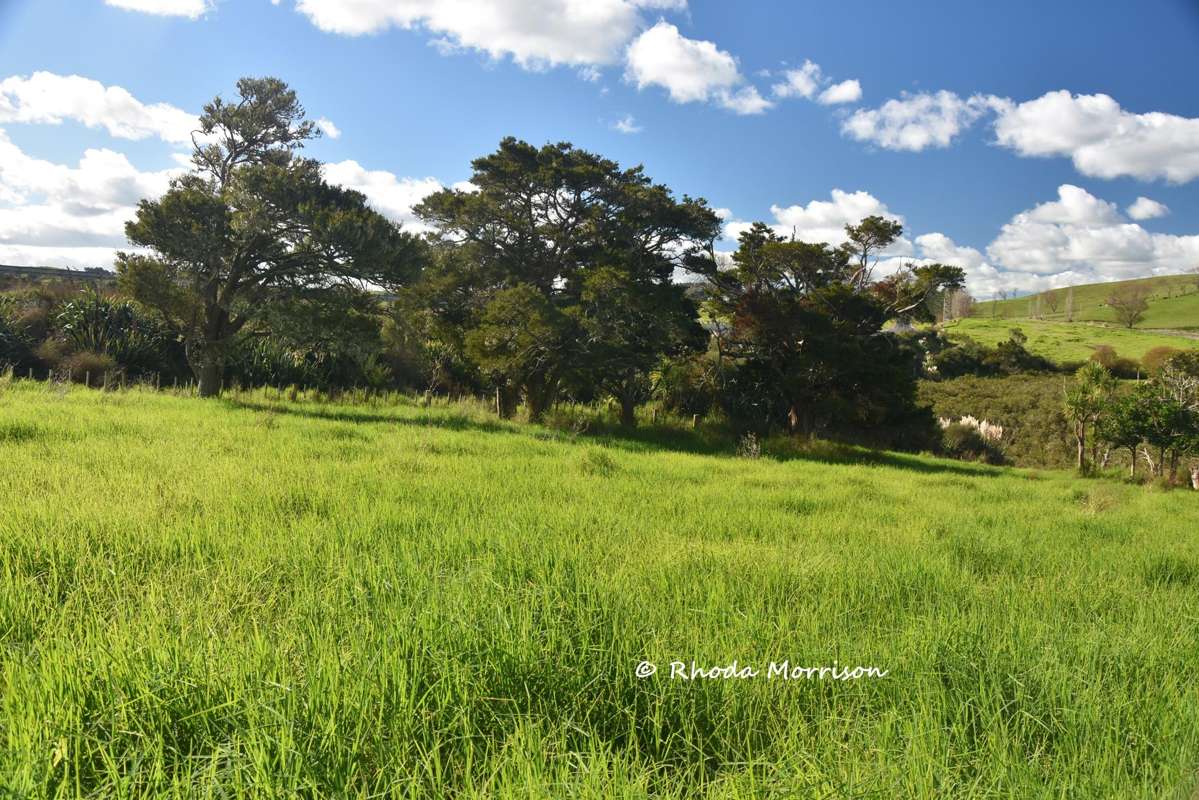 7 Te Tonga Road_1