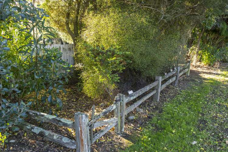 16 King Edward Street Masterton_12