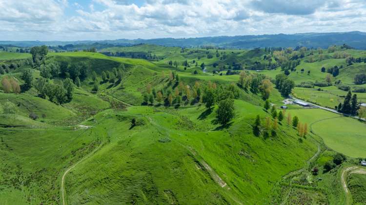 1163 Mangamako Road_2