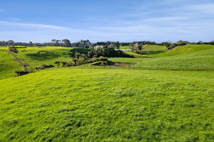 1028 Main North Road Onaero_16