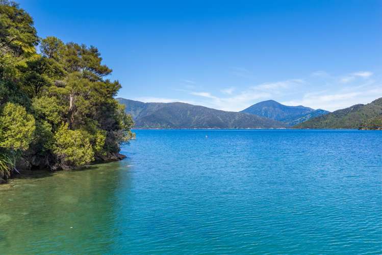 Lot 9 Blackwood Bay Queen Charlotte Sound_7