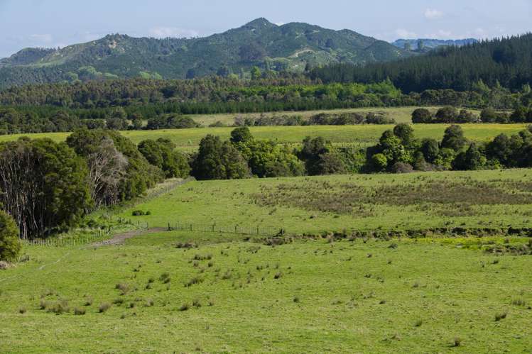 Waihua Valley Wairoa_15