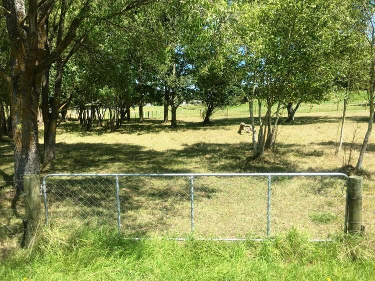 Lot Lot 1/202 Tapairu Road_0