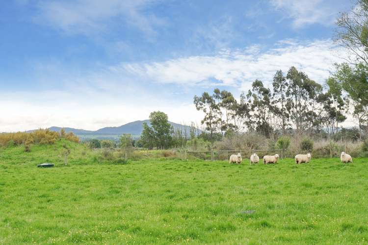 767 Lower Sefton Road Sefton_15