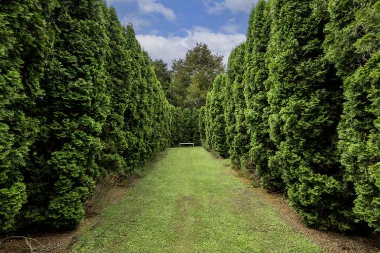 213 Te Whiti Road Masterton_12