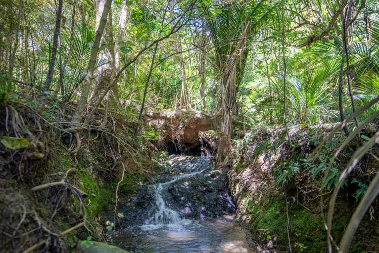 182 Nook Road Parua Bay_37