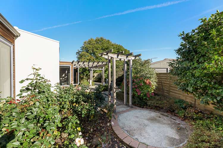 23b Murphys Road Springlands_19