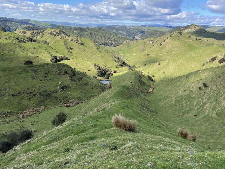 166 Saddler Road Ruapehu_22