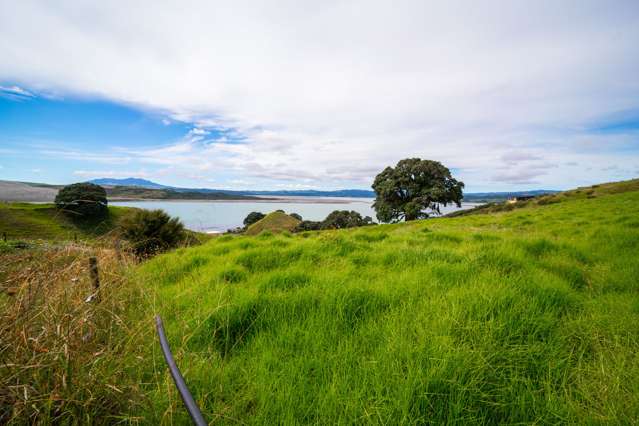 Morrison Road Kawhia_1
