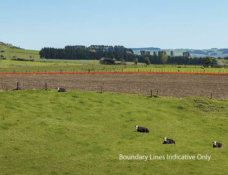 32 Hull Road Te Kohanga_3