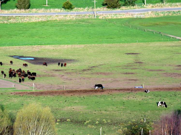 1629 Weston-Ngapara Road Enfield and Surrounds_7