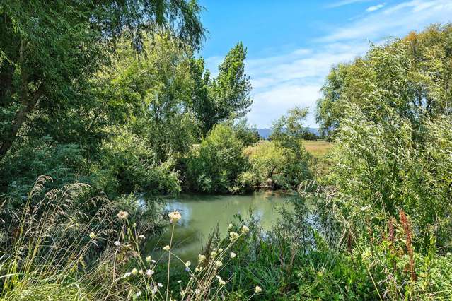 Stanley Road Te Aroha_3