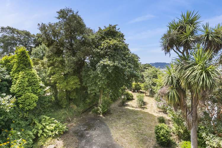 19 Constitution Street Dunedin Central_1