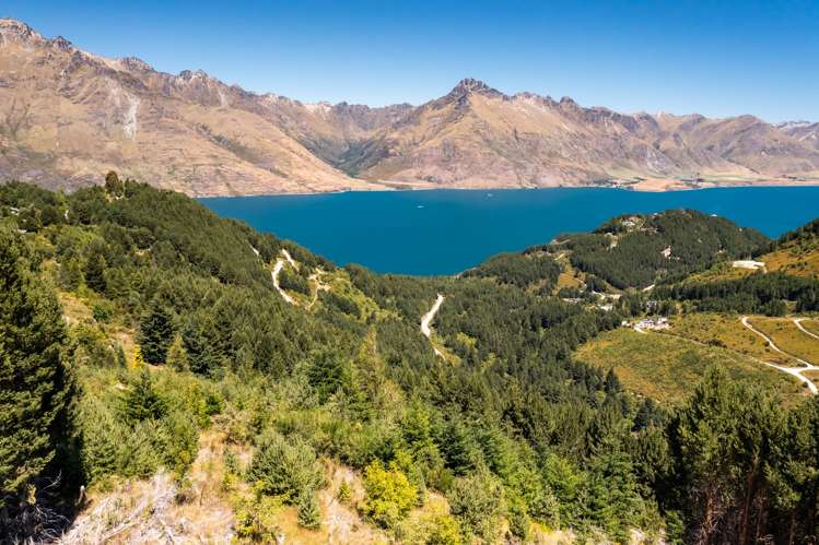 105 Alpine Retreat Road Ben Lomond_3