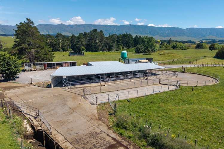 493 Smith Road Dannevirke_3