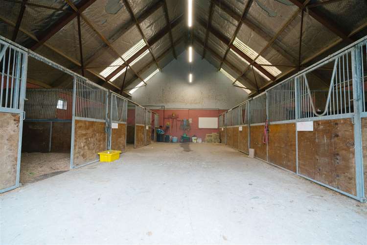 122 Rotoorangi Road Cambridge_17