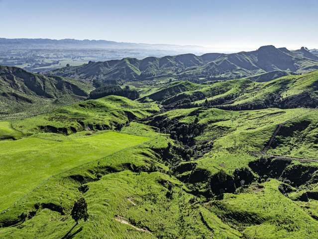 Mananui Station Ormondville_2