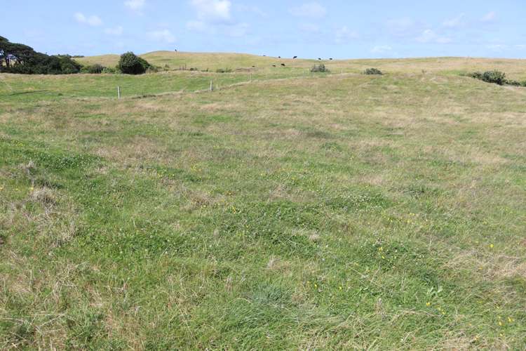 3979 South Road Opunake_5